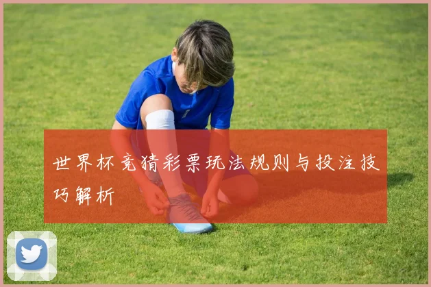 世界杯竞猜彩票玩法规则与投注技巧解析