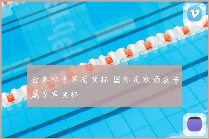 世界杯季军有奖杯 国际足联颁发专属季军奖杯